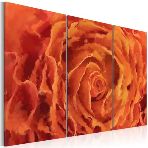 Obraz - Rose v oranžové barvě - triptych - 120x80 - 4wall.cz