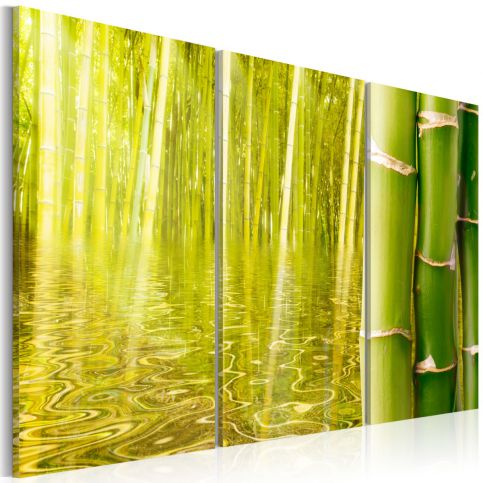 Obraz - Bambus ve vodě - 120x80 - 4wall.cz