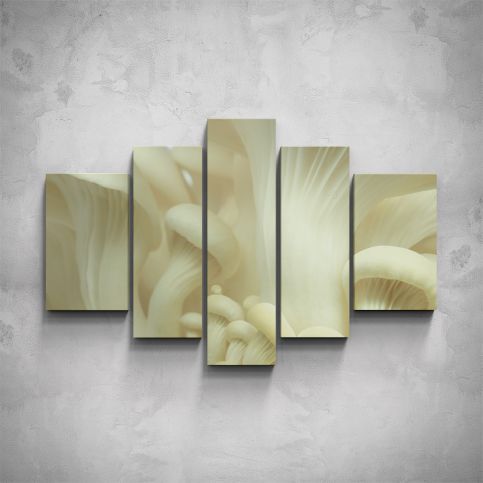 5-dílný obraz - Bílé houby - detail - PopyDesign - Popydesign