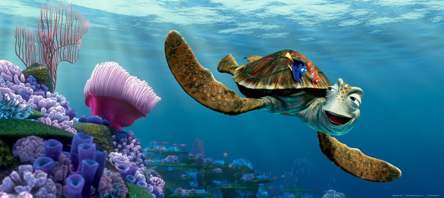 AG Design Hledá se Nemo Disney želva - papírová fototapeta - GLIX DECO s.r.o.