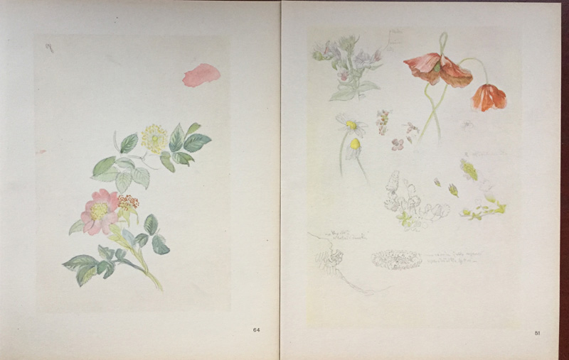 Josef Mánes - Herbarium - 26.JPG - Designová dílna Kovaný Petr