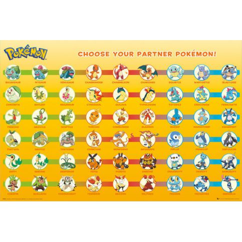 Plakát, Obraz - Pokémon - Partner Pokémon, (91,5 x 61 cm) - Favi.cz