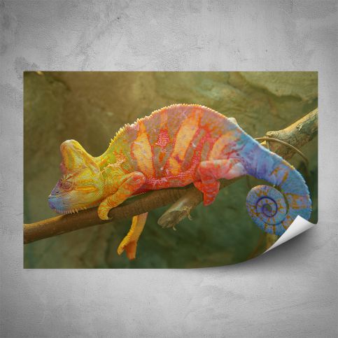 Plakát - Barevný chameleon (60x40 cm) - PopyDesign - Popydesign