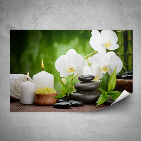 Plakát - Bílá orchidej (60x40 cm) - PopyDesign - Popydesign