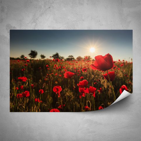 Plakát - Červené vlčí máky (60x40 cm) - PopyDesign - Popydesign