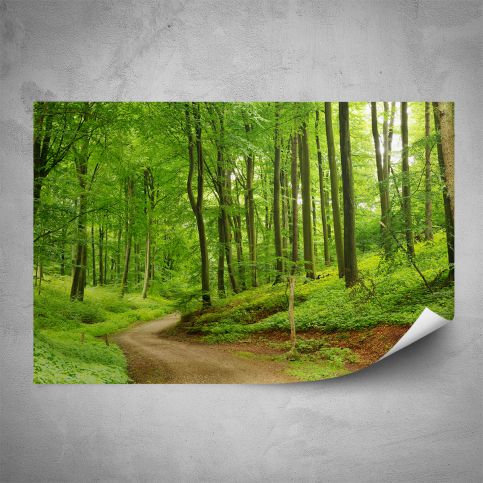 Plakát - Cesta lesem (60x40 cm) - PopyDesign - Popydesign