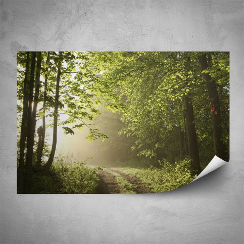 Plakát - Cesta z lesa (60x40 cm) - PopyDesign - Popydesign