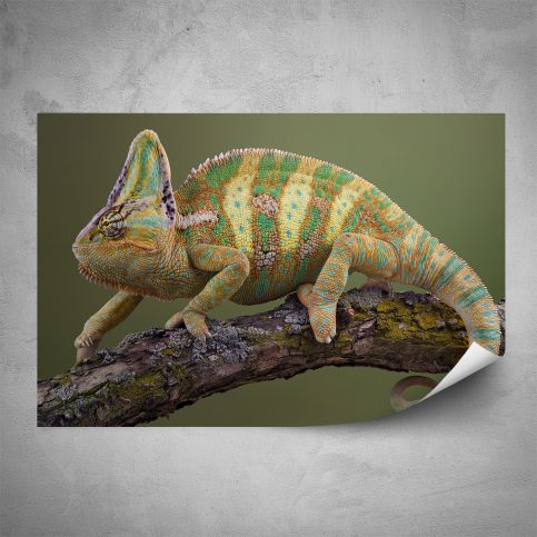 Plakát - Chameleón na větvičce (60x40 cm) - PopyDesign - Popydesign