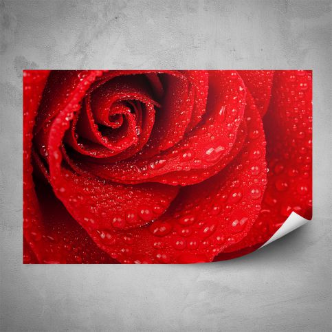 Plakát - Detail růže (60x40 cm) - PopyDesign - Popydesign