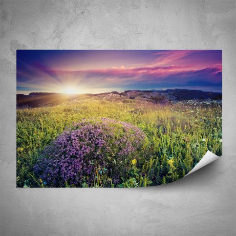 Plakát - Fialové květy na louce (60x40 cm) - PopyDesign - Popydesign
