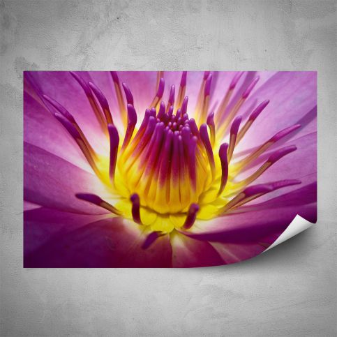 Plakát - Fialový květ makro (60x40 cm) - PopyDesign - Popydesign