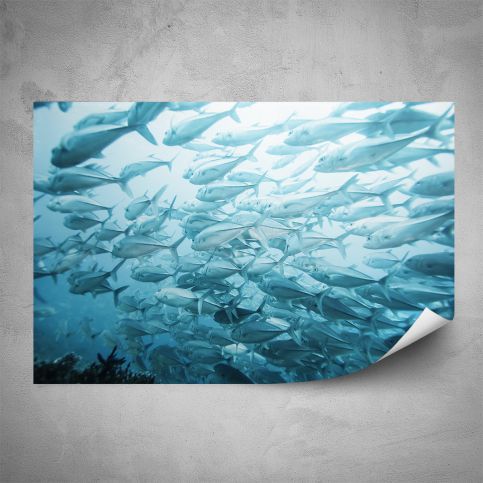 Plakát - Hejno ryb (60x40 cm) - PopyDesign - Popydesign