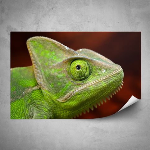 Plakát - Hlava chameleóna (60x40 cm) - PopyDesign - Popydesign