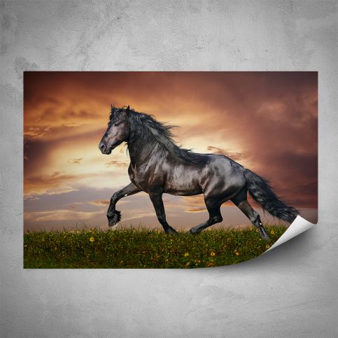 Plakát - Hnědý kůň (60x40 cm) - PopyDesign - Popydesign