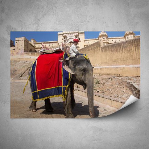 Plakát - Indický slon (60x40 cm) - PopyDesign - Popydesign