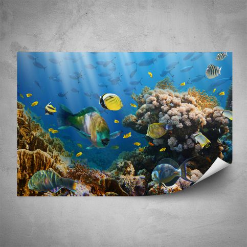 Plakát - Korálový útes (60x40 cm) - PopyDesign - Popydesign