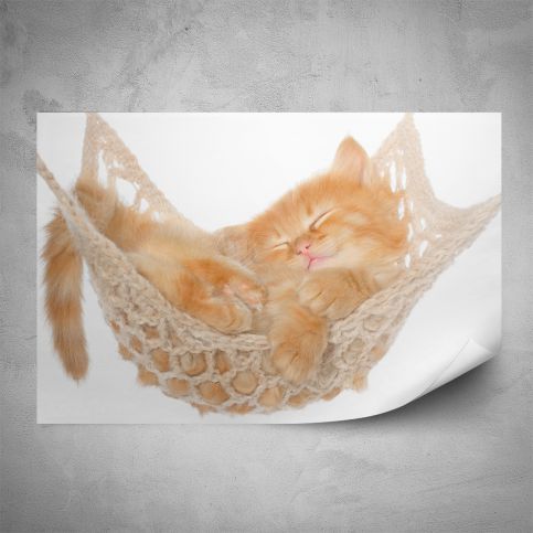Plakát - Kotě v houpací síti (60x40 cm) - PopyDesign - Popydesign