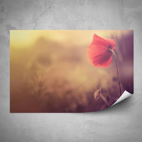 Plakát - Květ vlčího máku (60x40 cm) - PopyDesign - Popydesign