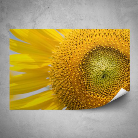Plakát - Květina makro (60x40 cm) - PopyDesign - Popydesign
