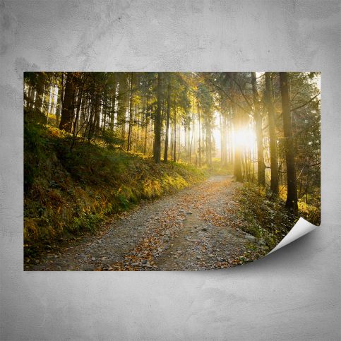 Plakát - Lesní cesta (60x40 cm) - PopyDesign - Popydesign