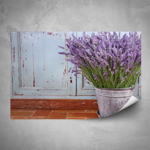 Plakát - Levandule v květináči (60x40 cm) - PopyDesign - Popydesign