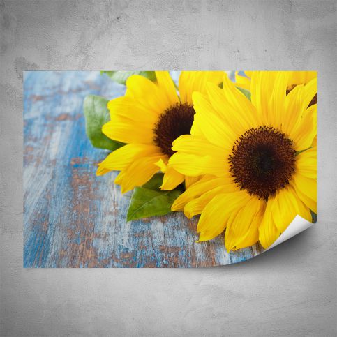 Plakát - Ležící slunečnice (60x40 cm) - PopyDesign - Popydesign