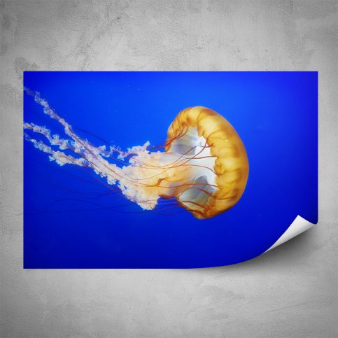 Plakát - Medúza (60x40 cm) - PopyDesign - Popydesign