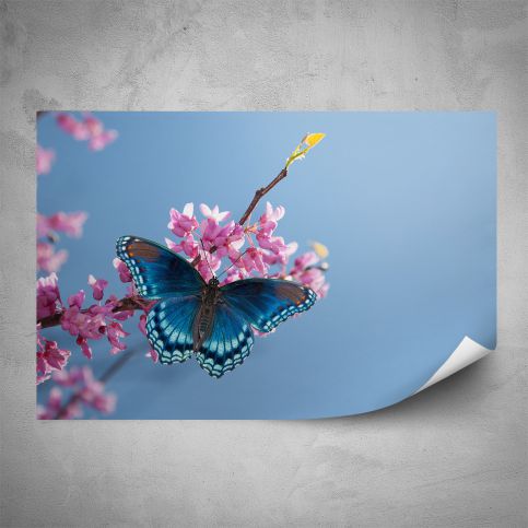 Plakát - Motýl na květině (60x40 cm) - PopyDesign - Popydesign