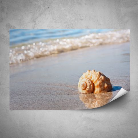 Plakát - Mušle na pláži (60x40 cm) - PopyDesign - Popydesign