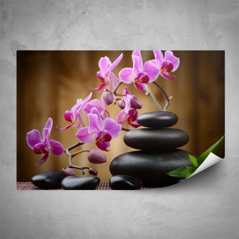 Plakát - Orchidej na kamenech (60x40 cm) - PopyDesign - Popydesign