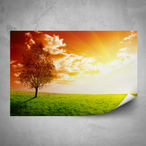 Plakát - Osamělý strom (60x40 cm) - PopyDesign - Popydesign