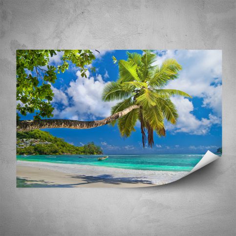 Plakát - Palma nad pláží (60x40 cm) - PopyDesign - Popydesign