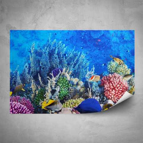 Plakát - Podmořský svět (60x40 cm) - PopyDesign - Popydesign
