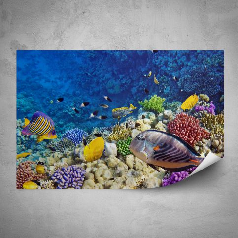 Plakát - Podmořský život (60x40 cm) - PopyDesign - Popydesign