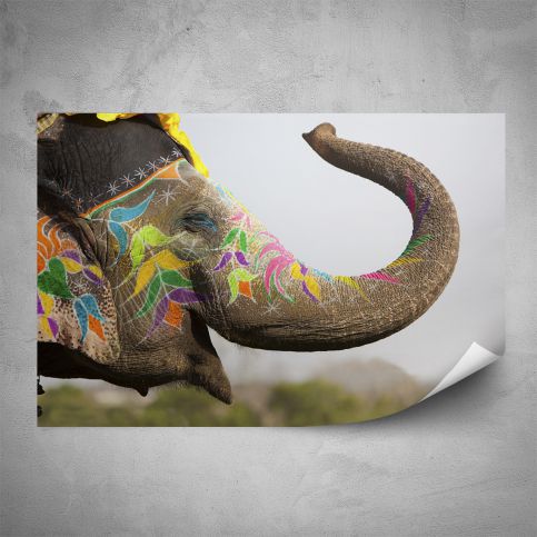 Plakát - Pomalovaný slon (60x40 cm) - PopyDesign - Popydesign