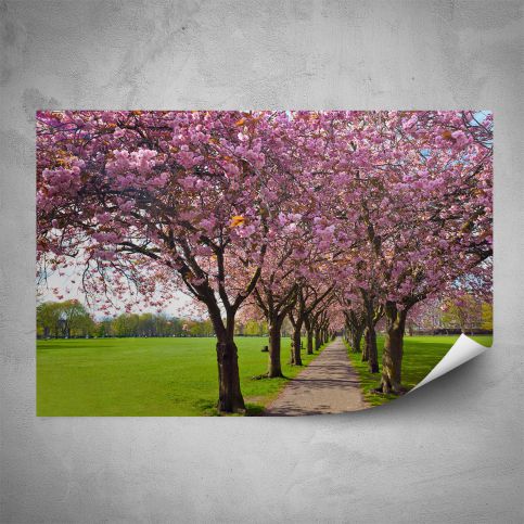 Plakát - Růžová alej (60x40 cm) - PopyDesign - Popydesign