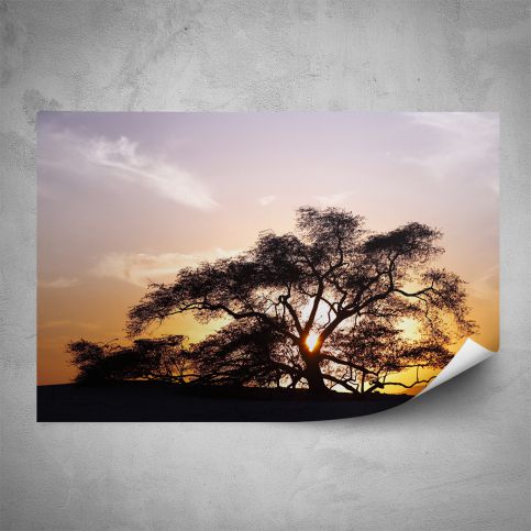 Plakát - Silueta stromu (60x40 cm) - PopyDesign - Popydesign