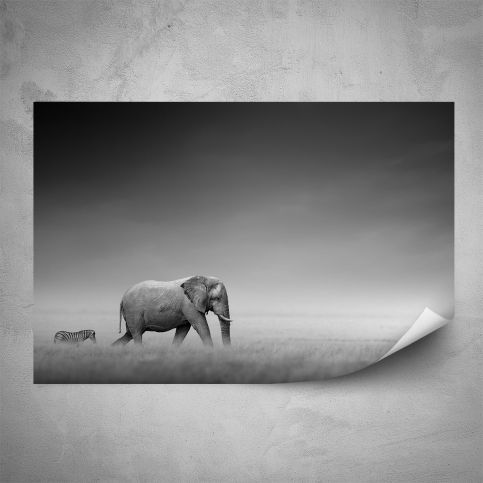 Plakát - Slon a zebra (60x40 cm) - PopyDesign - Popydesign