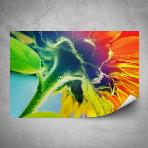 Plakát - Slunečnice makro (60x40 cm) - PopyDesign - Popydesign
