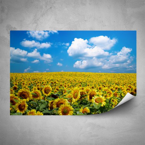 Plakát - Slunečnice na poli (60x40 cm) - PopyDesign - Popydesign