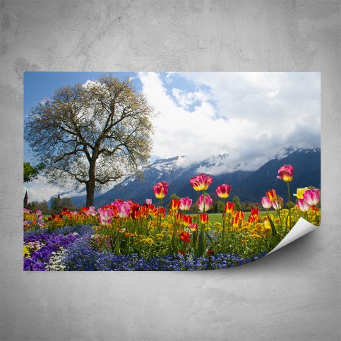 Plakát - Tulipány na louce (60x40 cm) - PopyDesign - Popydesign