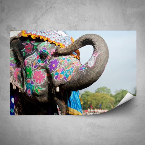 Plakát -  Veselý slon (60x40 cm) - PopyDesign - Popydesign