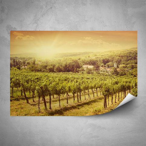 Plakát - Západ slunce na vinici (60x40 cm) - PopyDesign - Popydesign