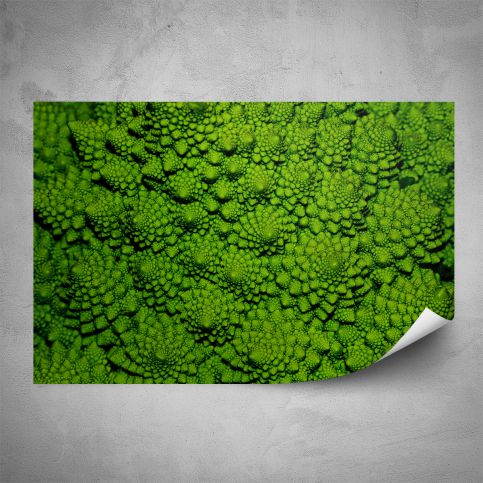 Plakát - Zelené makro (60x40 cm) - PopyDesign - Popydesign
