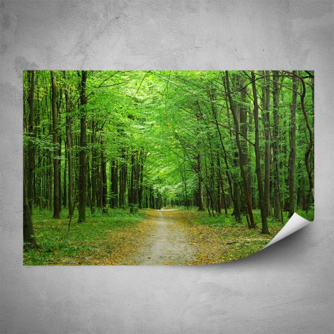Plakát - Zelený les (60x40 cm) - PopyDesign - Popydesign