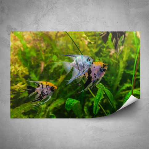 Plakát - Život v akváriu (60x40 cm) - PopyDesign - Popydesign