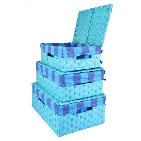 Vingo Úložný box s víkem světle modrý rozměry boxu (cm): 53x33, v. 19 - Vingo