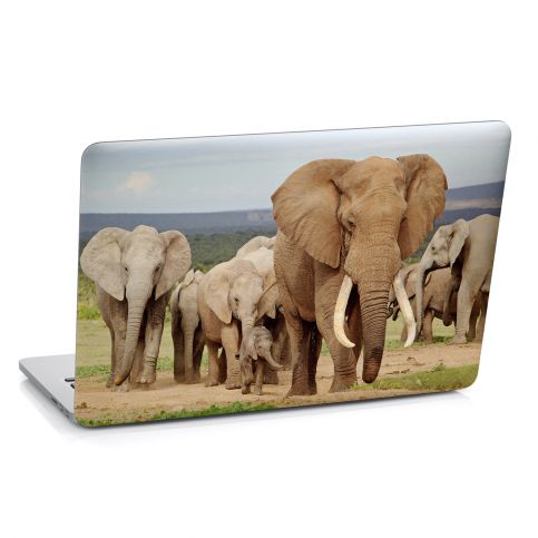Samolepka na notebook - Stádo slonů (29x20 cm) - PopyDesign - Popydesign