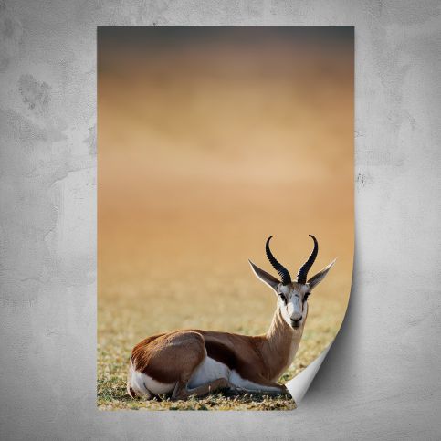 Plakát - Antilopa (80x120 cm) - PopyDesign - Popydesign