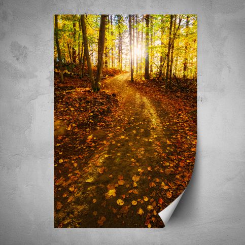 Plakát - Cesta lesem na podzim (80x120 cm) - PopyDesign - Popydesign